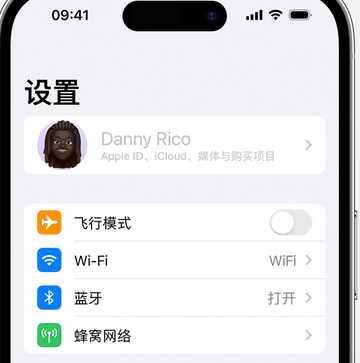 舟曲appleID维修服务iPhone设置中Apple ID显示为灰色无法使用 