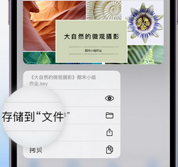 舟曲apple维修中心分享iPhone文件应用中存储和找到下载文件