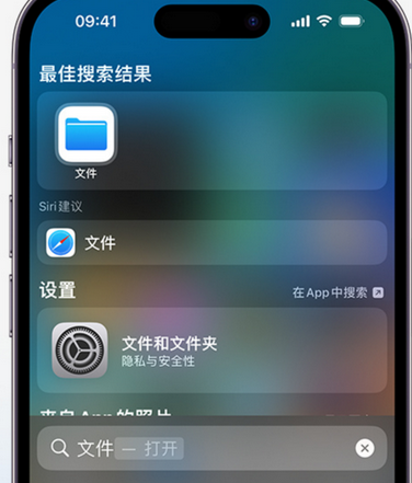 舟曲apple维修中心分享iPhone文件应用中存储和找到下载文件