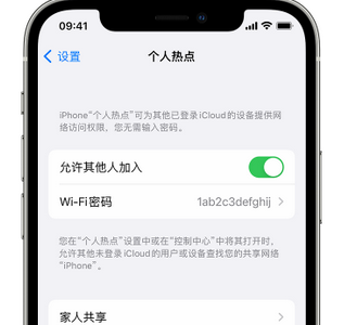 舟曲apple服务站点分享iPhone上个人热点丢失了怎么办 