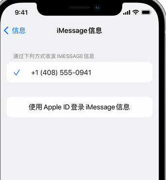 舟曲apple维修iPhone上无法正常发送iMessage信息