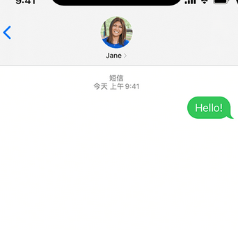 舟曲apple维修iPhone上无法正常发送iMessage信息