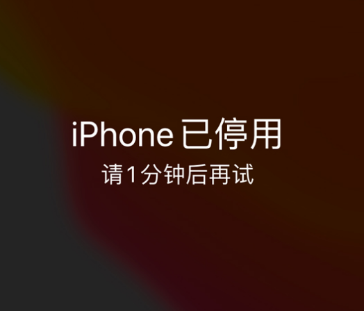 舟曲苹果手机维修分享:iPhone 显示“不可用”或“已停用”怎么办？还能保留数据吗？ 