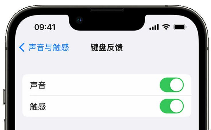 舟曲苹果手机维修分享iPhone 14触感键盘使用方法 