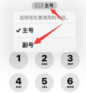 舟曲苹果14维修店分享iPhone 14 Pro Max使用副卡打电话的方法 