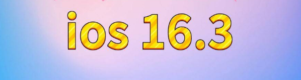 舟曲苹果服务网点分享苹果iOS16.3升级反馈汇总 