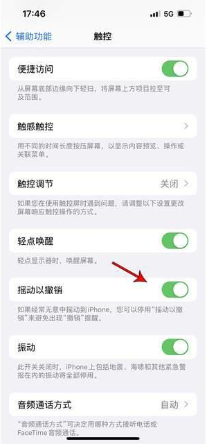 舟曲苹果手机维修分享iPhone手机如何设置摇一摇删除文字 