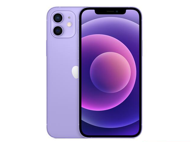 舟曲苹果手机维修分享现阶段要不要入手紫色版iPhone12 