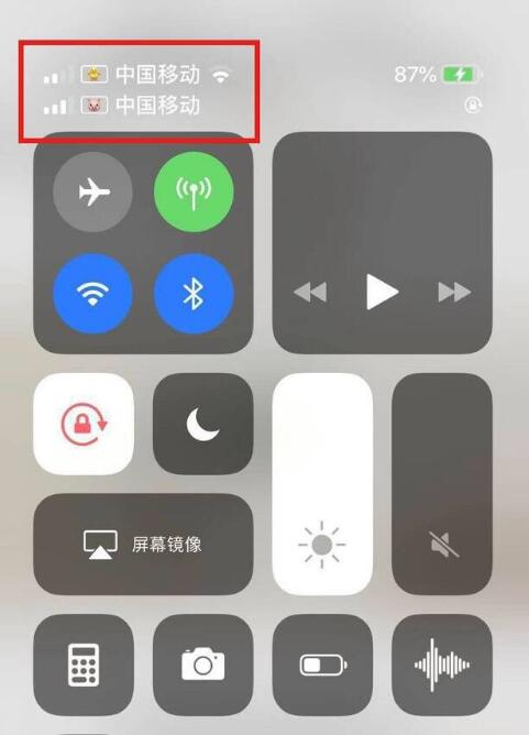 舟曲苹果手机维修分享为 iPhone 12 双卡设置标签 